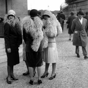 Meet your Posher, Tara